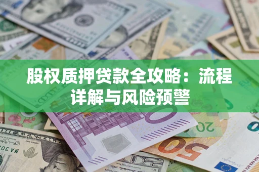 武汉股权质押贷款全攻略：流程详解与风险预警