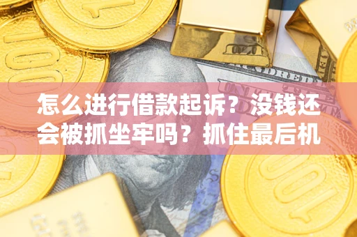 武汉怎么进行借款起诉？没钱还会被抓坐牢吗？抓住最后机会！