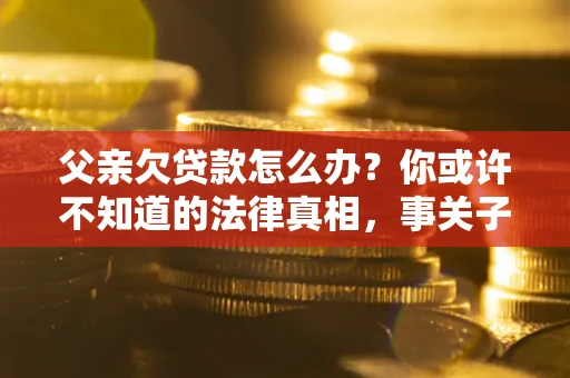 武汉父亲欠贷款怎么办？你或许不知道的法律真相，事关子女未来