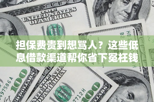 武汉担保费贵到想骂人？这些低息借款渠道帮你省下冤枉钱