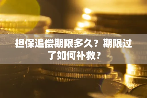武汉担保追偿期限多久？期限过了如何补救？