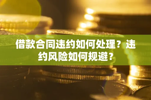 武汉借款合同违约如何处理？违约风险如何规避？