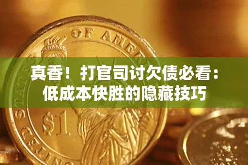 武汉真香！打官司讨欠债必看：低成本快胜的隐藏技巧