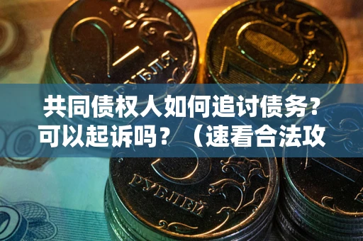 武汉共同债权人如何追讨债务？可以起诉吗？（速看合法攻略）