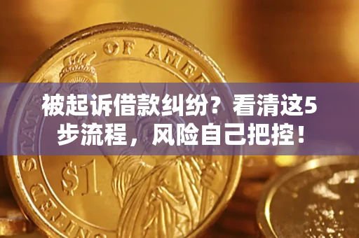 武汉被起诉借款纠纷？看清这5步流程，风险自己把控！