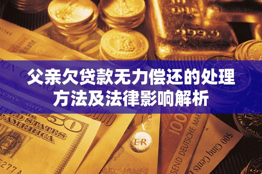 武汉父亲欠贷款无力偿还的处理方法及法律影响解析