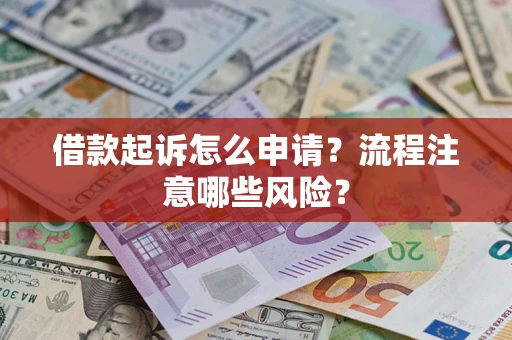 武汉借款起诉怎么申请？流程注意哪些风险？