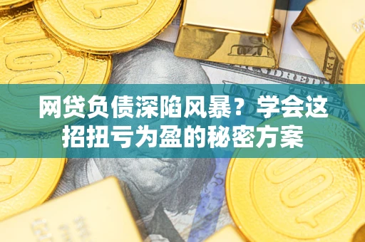 武汉网贷负债深陷风暴？学会这招扭亏为盈的秘密方案